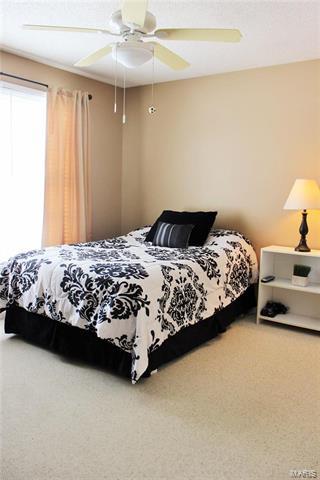 2 Cog Mill Ct, O'fallon, MO 63368 photo 27