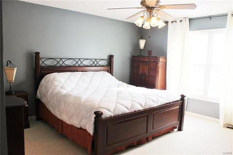 2 Cog Mill Ct, O'fallon, MO 63368 photo 25