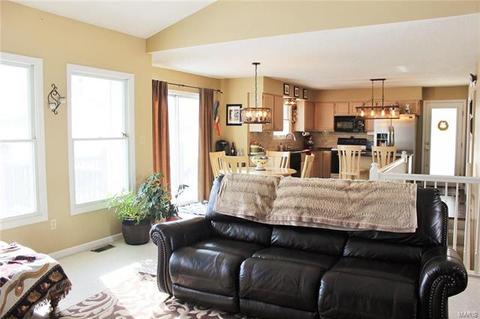 2 Cog Mill Ct, O'fallon, MO 63368 photo 17
