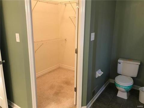 16005 Surfview Ct, Grover, MO 63040 photo 23