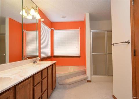 41 Georgetown Cir, O'fallon, MO 63368 photo 26