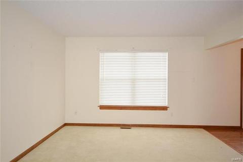 41 Georgetown Cir, O'fallon, MO 63368 photo 12