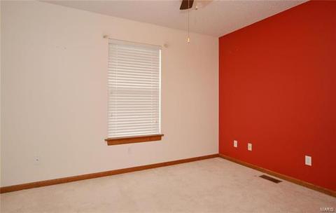 41 Georgetown Cir, O'fallon, MO 63368 photo 23