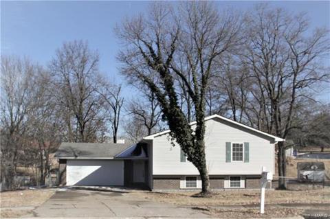 69 Dellbrook Ct, O'fallon, MO 63366 photo 1