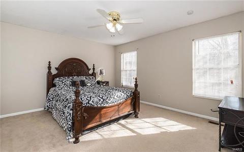 724 Ginger Wood Ct, Ballwin, MO 63021 photo 15