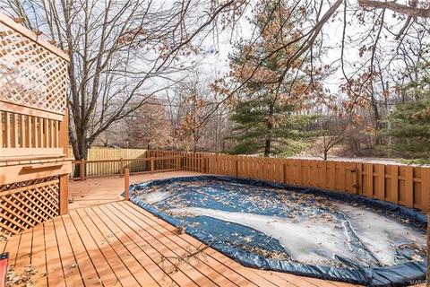 724 Ginger Wood Ct, Ballwin, MO 63021 photo 25