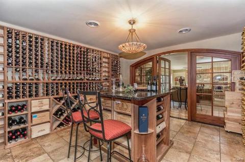16866 Eagle Bluff Ct, Chesterfield, MO 63005 photo 49