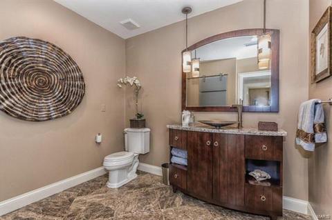 16866 Eagle Bluff Ct, Chesterfield, MO 63005 photo 51