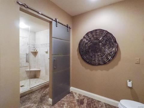 16866 Eagle Bluff Ct, Chesterfield, MO 63005 photo 52
