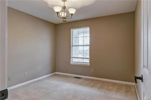 190 Portmarnock Ln, Weldon Spring, MO 63304 photo 28