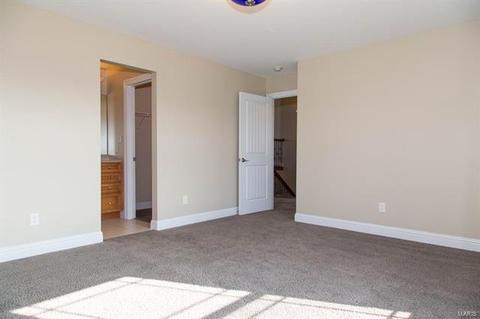 904 Brook Vly, O'fallon, MO 63368 photo 46