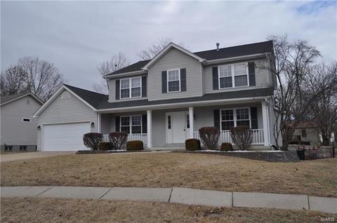 7 Knoll Ridge Ct, O'fallon, MO 63368 photo 2