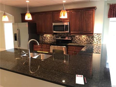 487 Chukker Valley Rd, Ellisville, MO 63021 photo 16