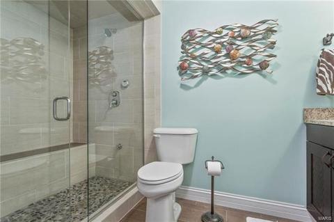 527 Roaring Fork Dr, Grover, MO 63040 photo 52