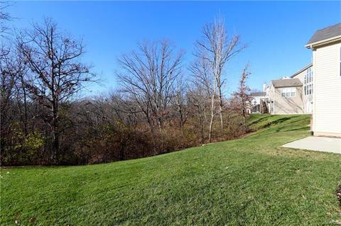 527 Roaring Fork Dr, Grover, MO 63040 photo 57