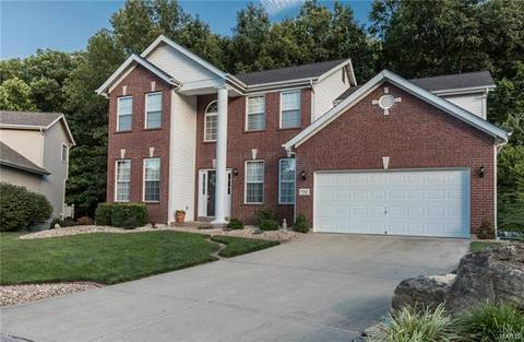 732 Hilltop Woods Ct, Eureka, MO 63025 photo 2