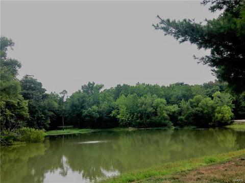 732 Hilltop Woods Ct, Eureka, MO 63025 photo 60