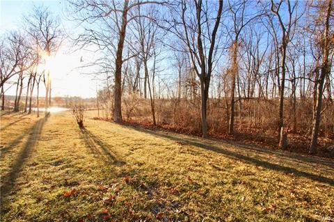 762 Southbrook Frst, Weldon Spring, MO 63304 photo 46