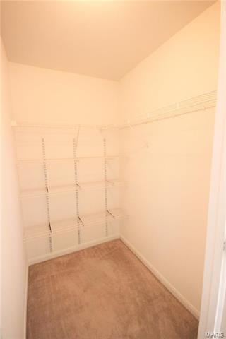 16708 Hickory Crest Dr, Wildwood, MO 63011 photo 21