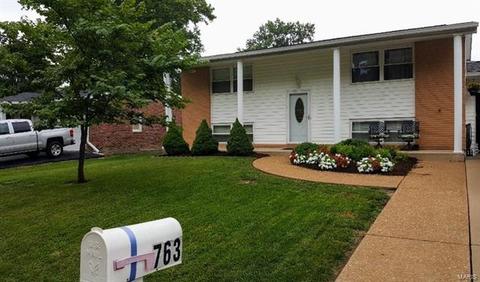 763 Sulphur Spring Ct, Manchester, MO 63021 photo 1