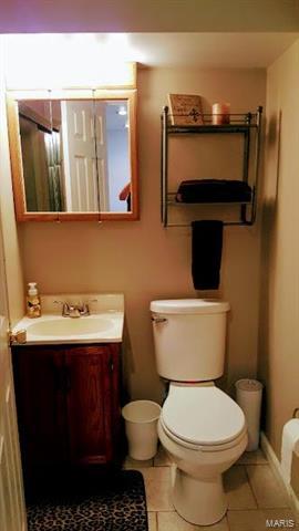 763 Sulphur Spring Ct, Manchester, MO 63021 photo 19