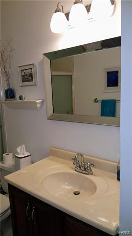 763 Sulphur Spring Ct, Manchester, MO 63021 photo 13
