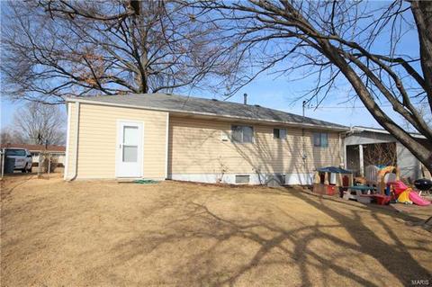 11020 Patsy Dr, Saint Louis, MO 63123 photo 15