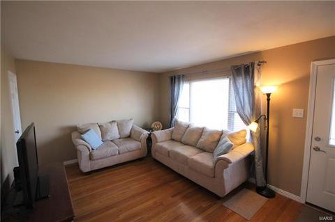 11020 Patsy Dr, Saint Louis, MO 63123 photo 5