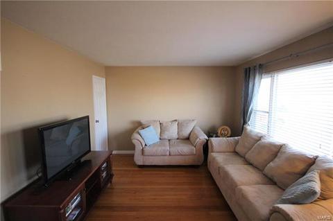 11020 Patsy Dr, Saint Louis, MO 63123 photo 4