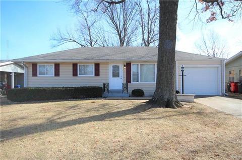 11020 Patsy Dr, Saint Louis, MO 63123 photo 1