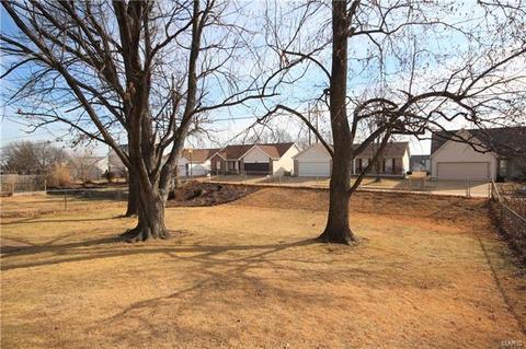 11020 Patsy Dr, Saint Louis, MO 63123 photo 12