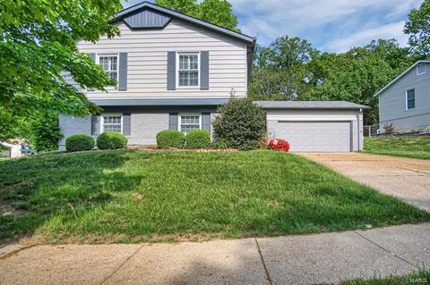 17 Rainfield, Ballwin, MO 63021 photo 1