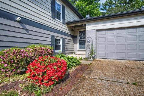 17 Rainfield, Ballwin, MO 63021 photo 24