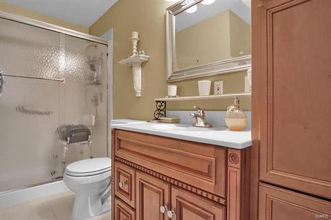 17 Rainfield, Ballwin, MO 63021 photo 18