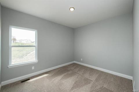 334 Burning Brook Dr, O'fallon, MO 63366 photo 14
