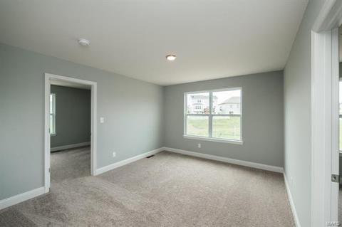 334 Burning Brook Dr, O'fallon, MO 63366 photo 21