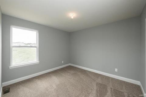 334 Burning Brook Dr, O'fallon, MO 63366 photo 20