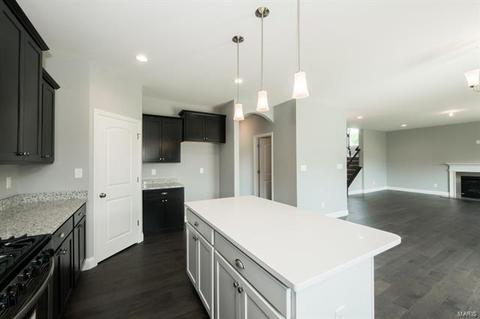 334 Burning Brook Dr, O'fallon, MO 63366 photo 13