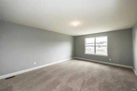 334 Burning Brook Dr, O'fallon, MO 63366 photo 16