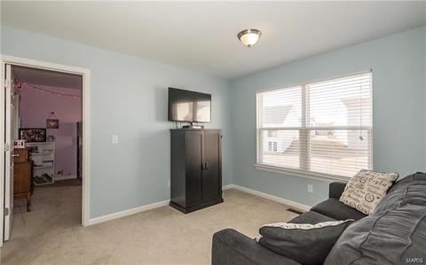 623 Falling Brook Dr, O'fallon, MO 63366 photo 39