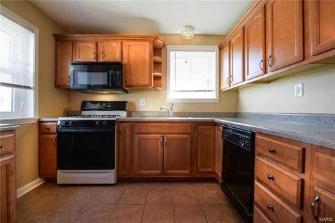 6809 Edison Ave, Velda Village Hills, MO 63121 photo 13