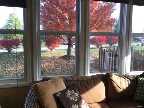 2 Bates Ct, O'fallon, MO 63368 photo 49