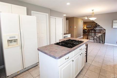 500 Kiefer Oak Ct, Ellisville, MO 63021 photo 19