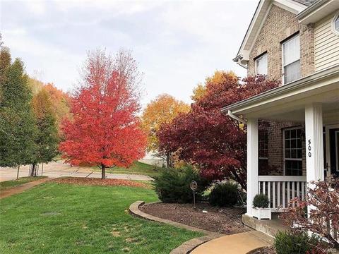 500 Kiefer Oak Ct, Ellisville, MO 63021 photo 2
