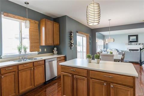 952 Molloy Dr, O'fallon, MO 63366 photo 13
