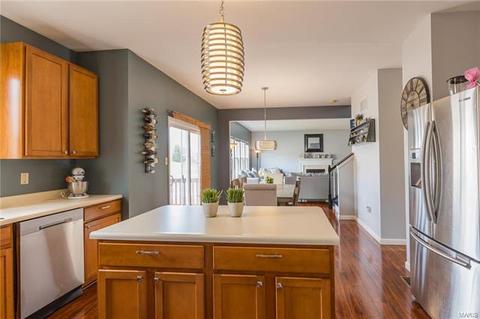 952 Molloy Dr, O'fallon, MO 63366 photo 12
