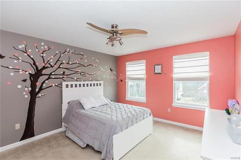 952 Molloy Dr, O'fallon, MO 63366 photo 26