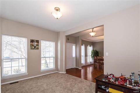 238 Arbor Trails Dr, Ballwin, MO 63021 photo 12