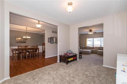 238 Arbor Trails Dr, Ballwin, MO 63021 photo 11