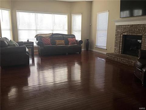1194 Oak Hill Ct, Ballwin, MO 63021 photo 6